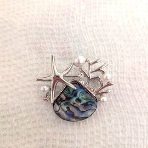 Silver Starfish Abalone Brooch